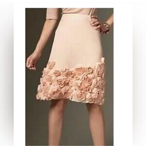 Talbots Blush Pink Silk Skirt with Rosettes-Sz 10p